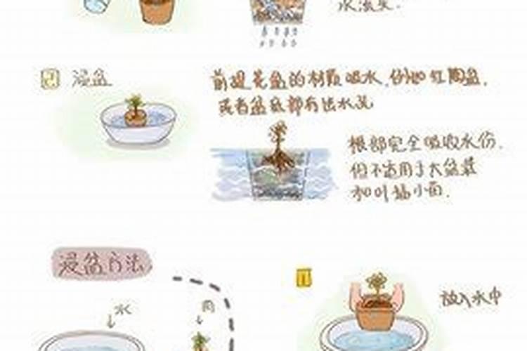 有机液肥的有机液肥的成份