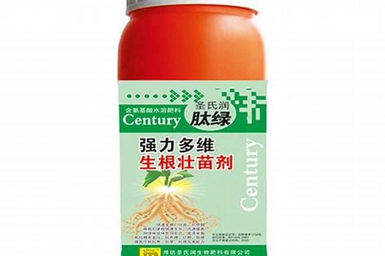 强力生根水多久浇一次水