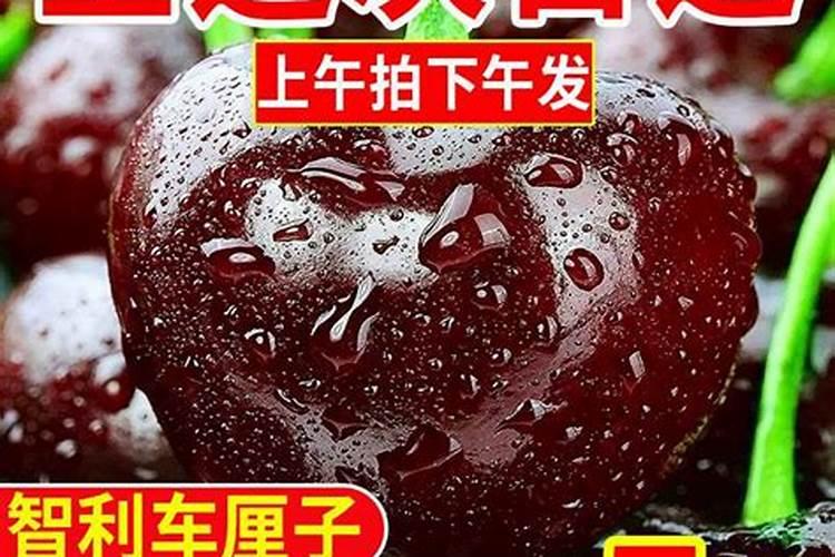 叶面喷施硼肥的最佳时间