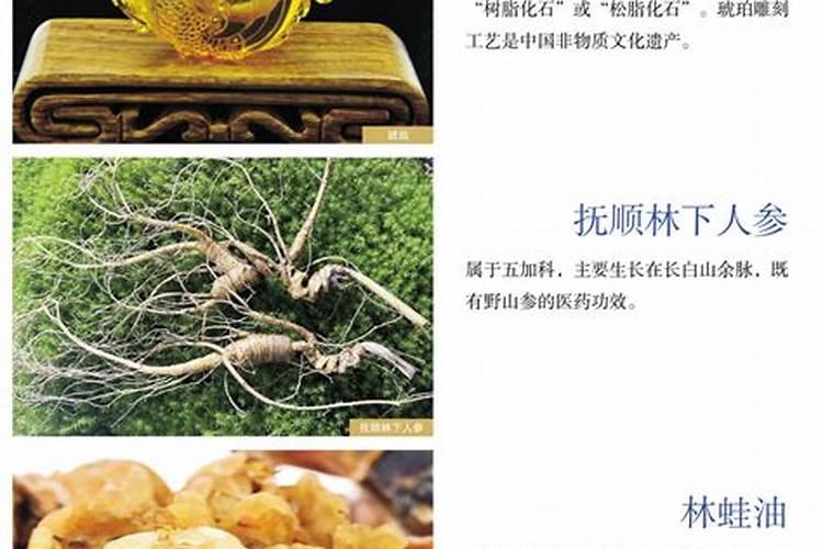 抚顺有什么好玩的地方？