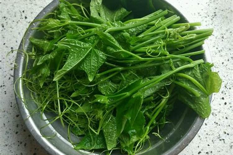佛手瓜种植方法是大头朝上还是大头朝下？
