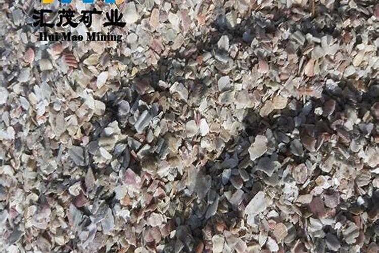 贝壳花怎么养
