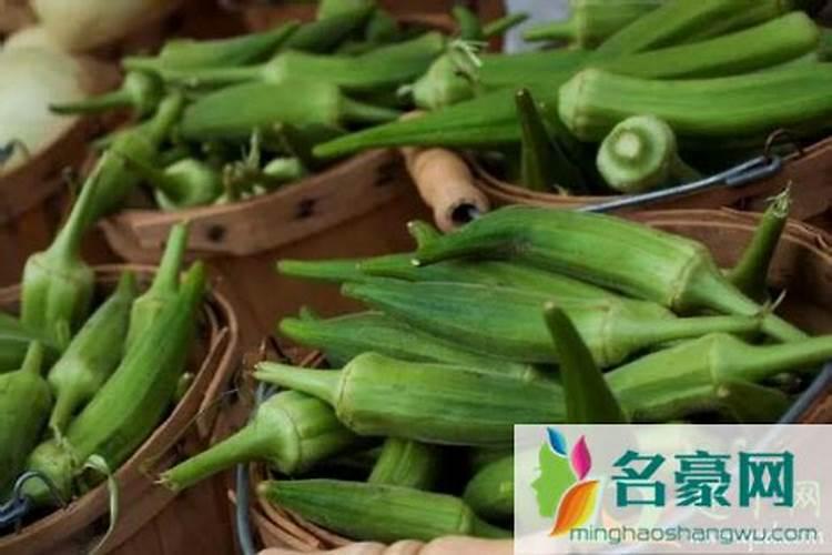 秋葵用什么肥料最好