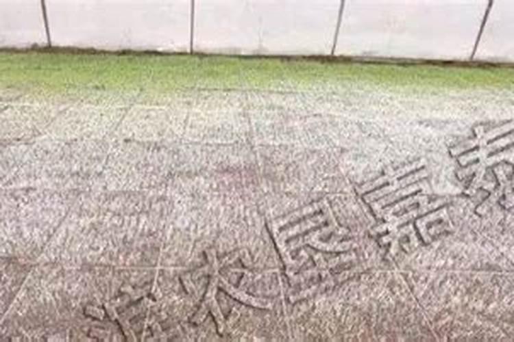 大棚稻苗太矮用啥肥催长？