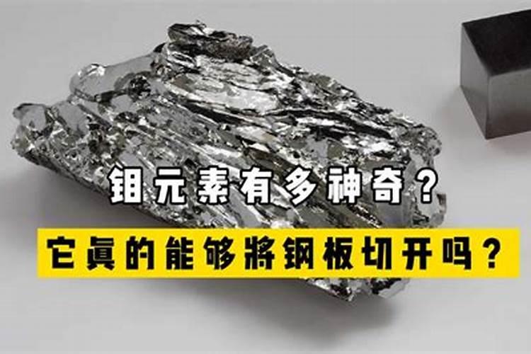 豆科植物固氮需要的元素