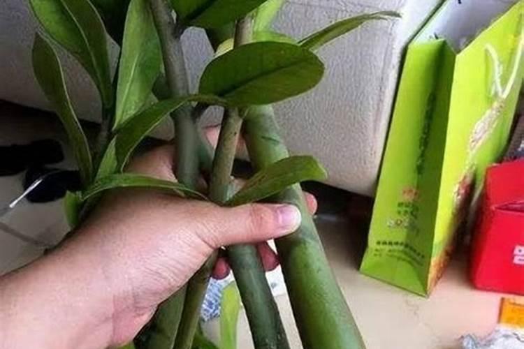 水溶肥 北京富特森农业科技有限公司生产的水溶肥效果好吗？有谁用过吗...