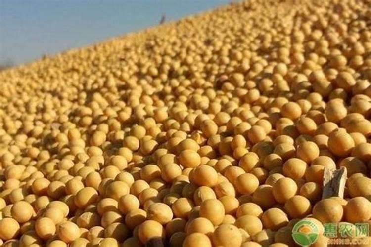 一亩大豆需要施多少化肥