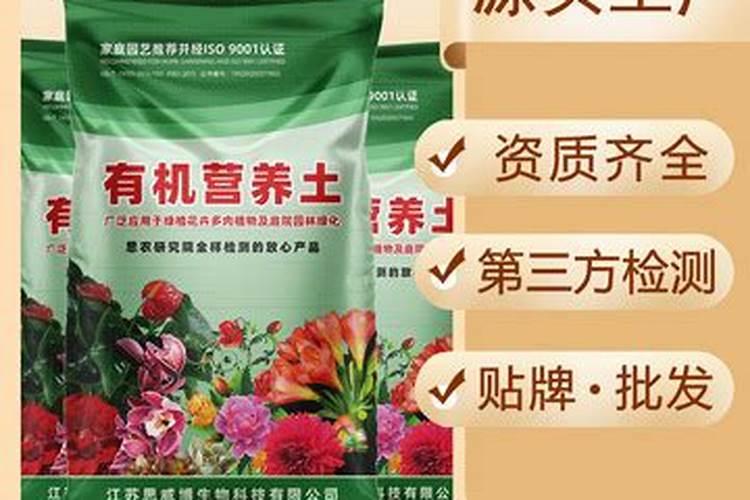 花多多十大品牌