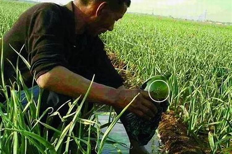 水溶肥与大量元素水溶肥有什么不同