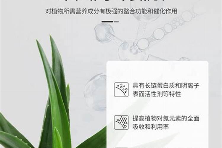 养花的氮肥有哪些