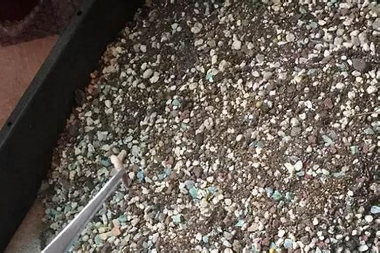 一盆花放几粒尿素 盆栽花卉能用尿素吗