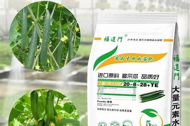 黄瓜专用叶面肥厂家,叶面肥哪个品牌好？叶面肥用昆仑风!