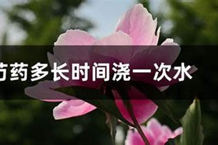芍药要怎样追肥？