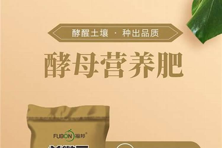 高磷肥料有什么作用和功效