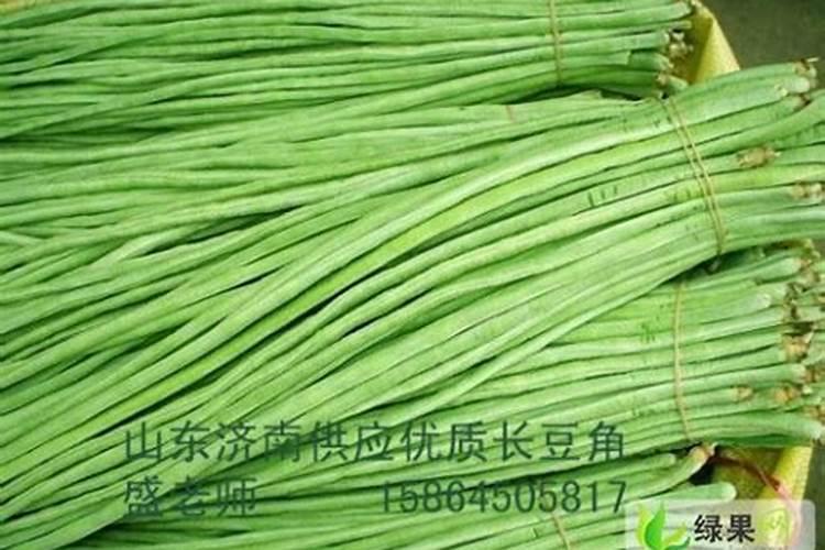 种植豆角,需要施什么肥