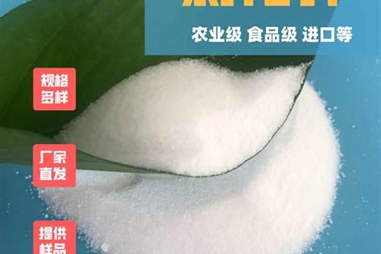 我的家庭作文