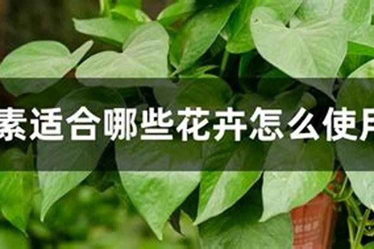 花卉施尿素多少