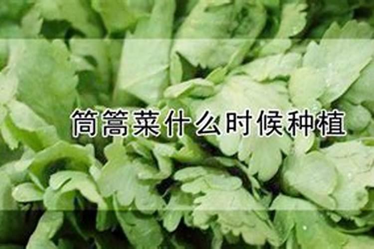 阳新湖蒿种植用什么肥料？