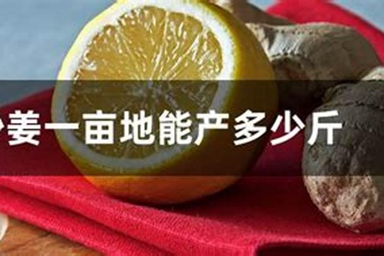 沙姜已经出苗,陈年野草太多。适合用草逸剑除草吗？