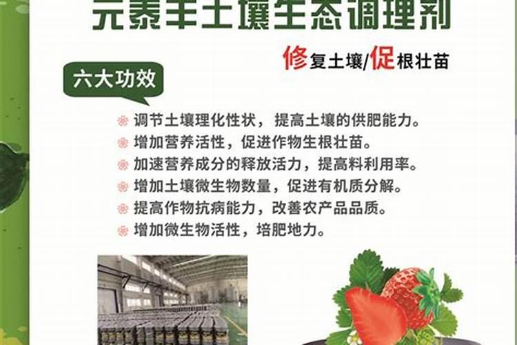 金乡大蒜重茬使用紫牛有机肥的效果