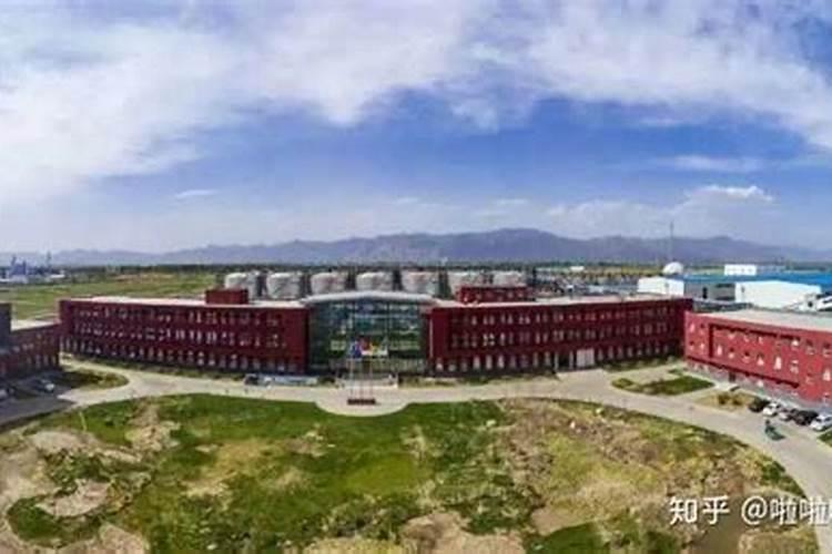 土右旗:产业链精准招商 赋能高质量发展