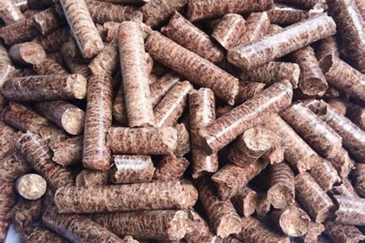 关于环境污染的资料