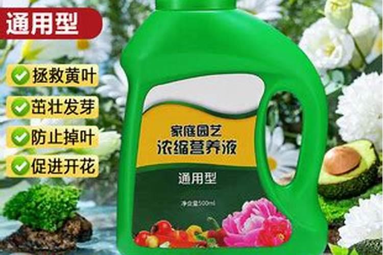 蔬菜叶面肥木醋液批发厂家