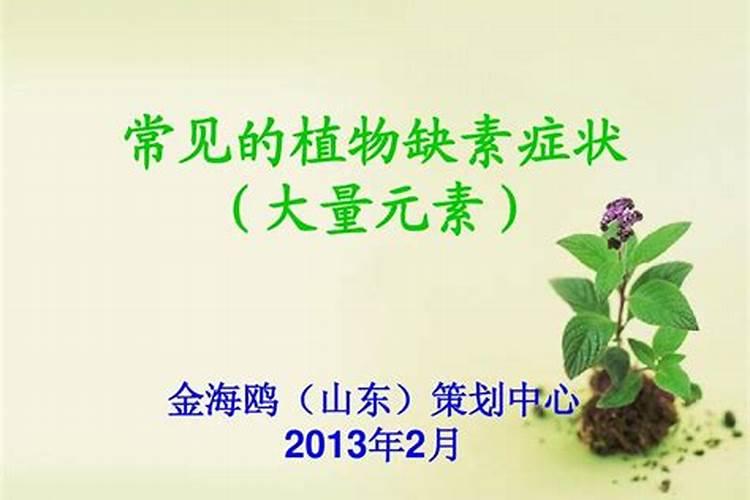 中量元素篇:各种元素的生理作用以及元素缺乏症状表现