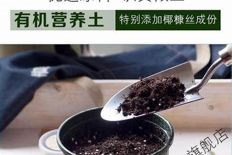 最简单的养花万能土壤 养花用什么肥最好