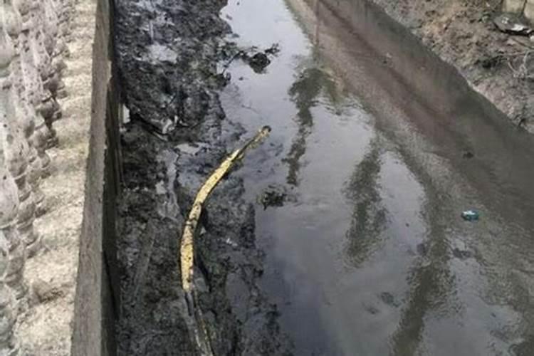 河底的淤泥可以做肥料吗
