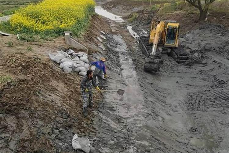 淤泥做花肥如何用