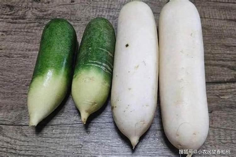 萝卜施什么肥