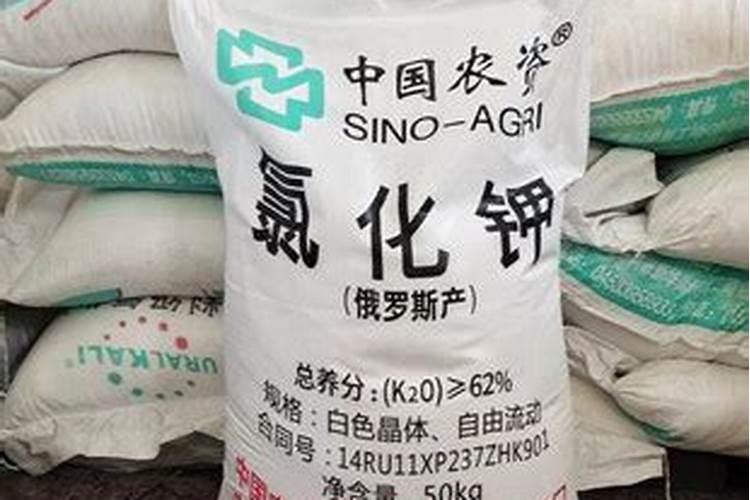 水稻长得太茂盛怎么办