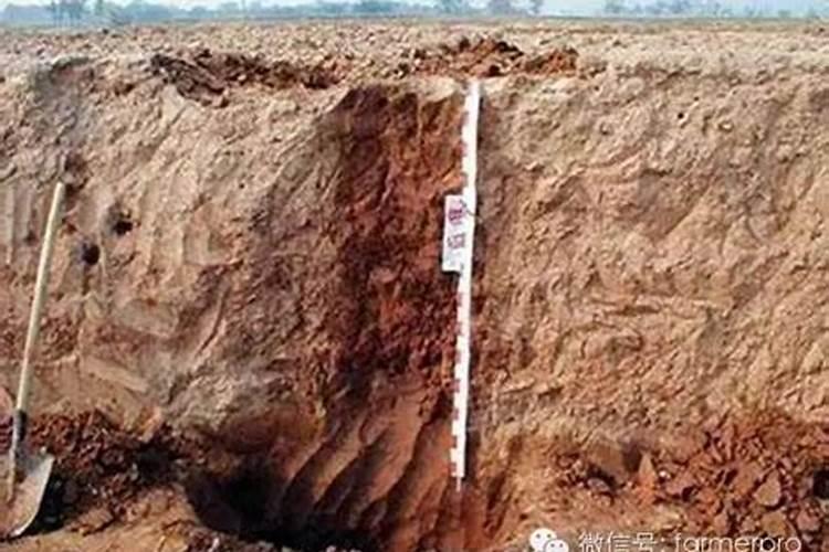 砂土、壤土和粘土的区别是什么？