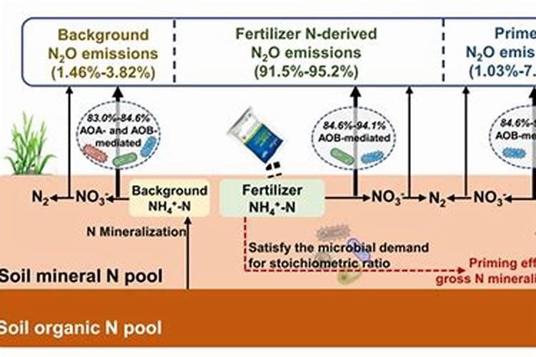 玉米水溶肥的使用方法