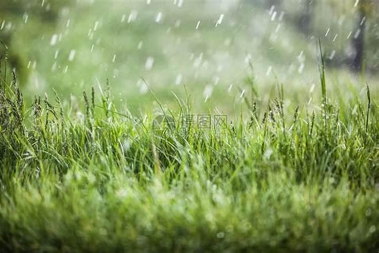 下雨前施肥还是下雨后施肥