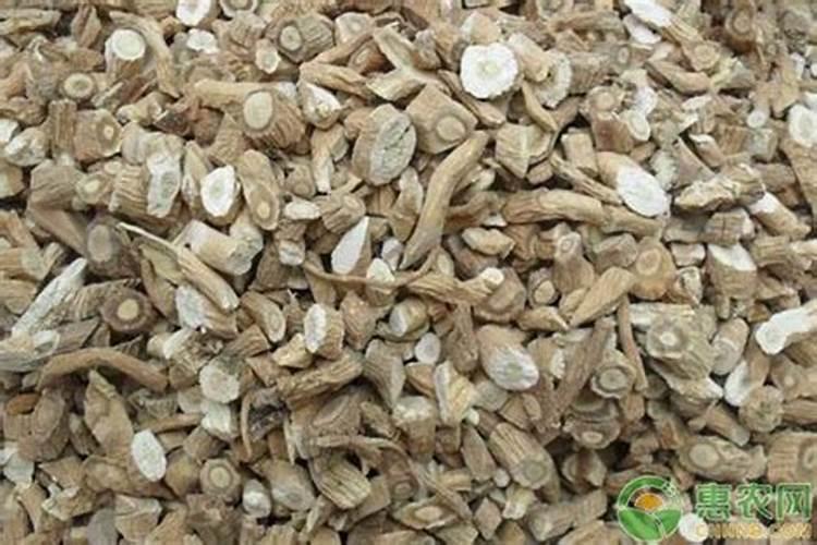 桂林柳叶菜花干怎么做？
