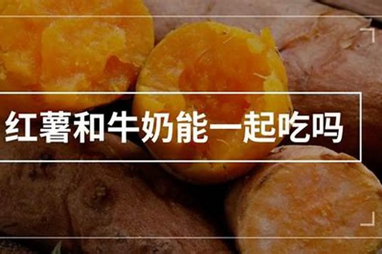 硼肥对红薯有什么作用 最佳使用时间