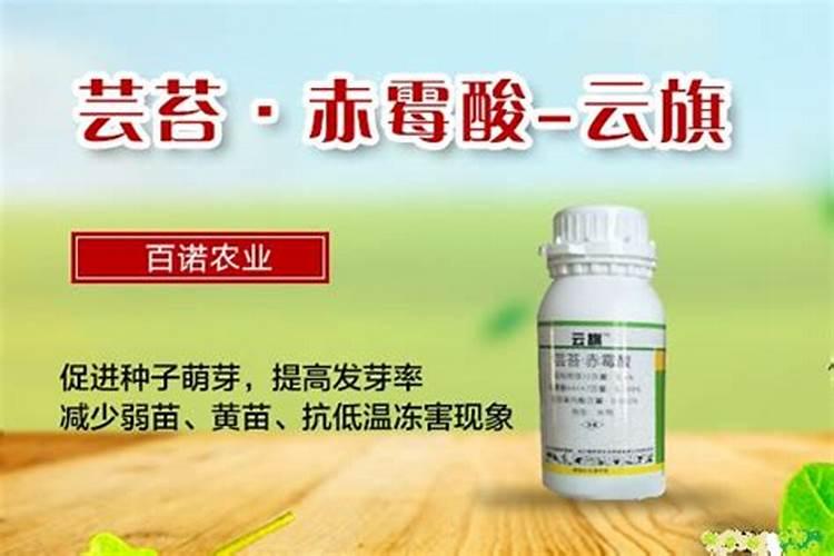 黄瓜打什么药长得好又高产