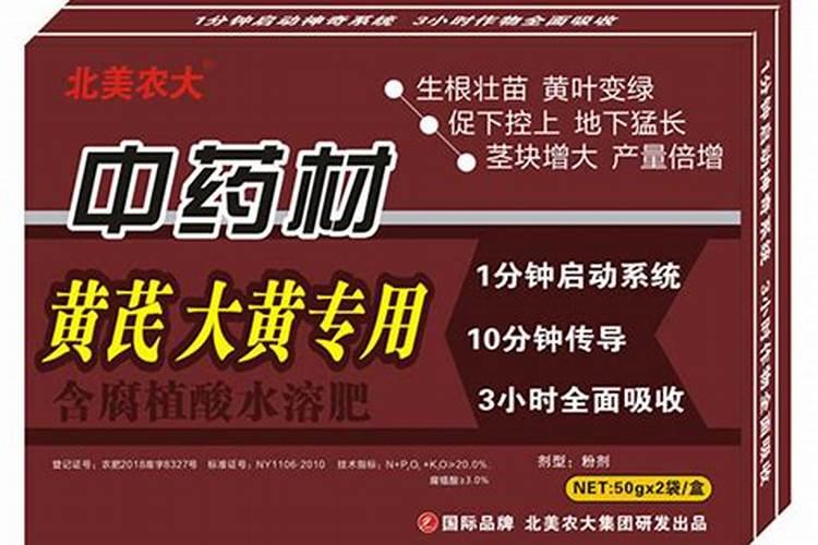 大黄北方能种吗