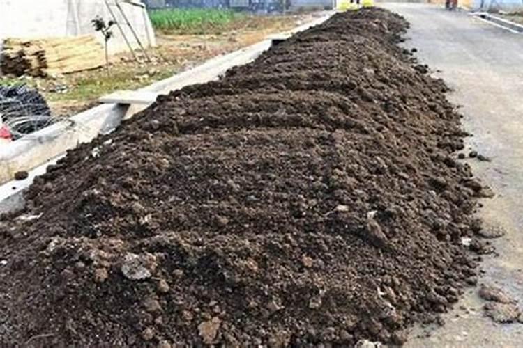 粪水里的虫是什么虫