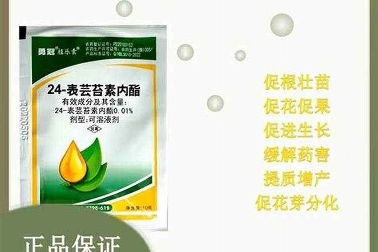 果树用什么肥料好