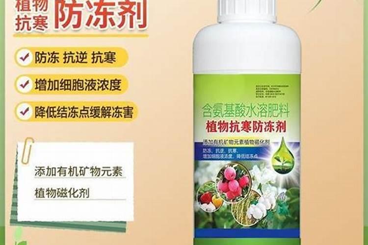 香蕉该如何施肥？