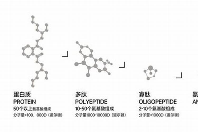蟹爪兰叶片发红,有凹凸的小白点怎样治