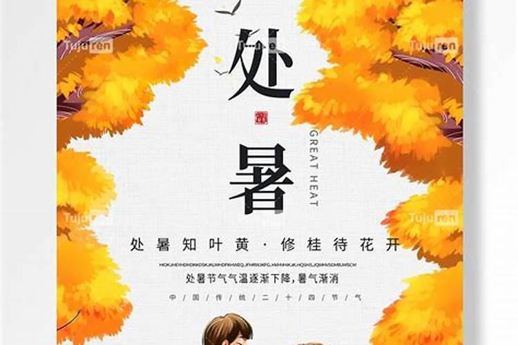 处暑时节大姜炭疽病,白星病发生重,如何防治？