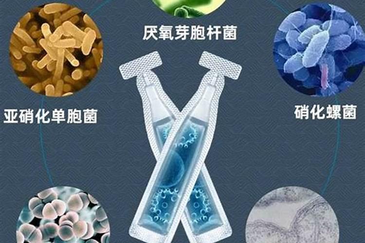 在水田进入淹水期的时候,哪种氮肥不适合施用