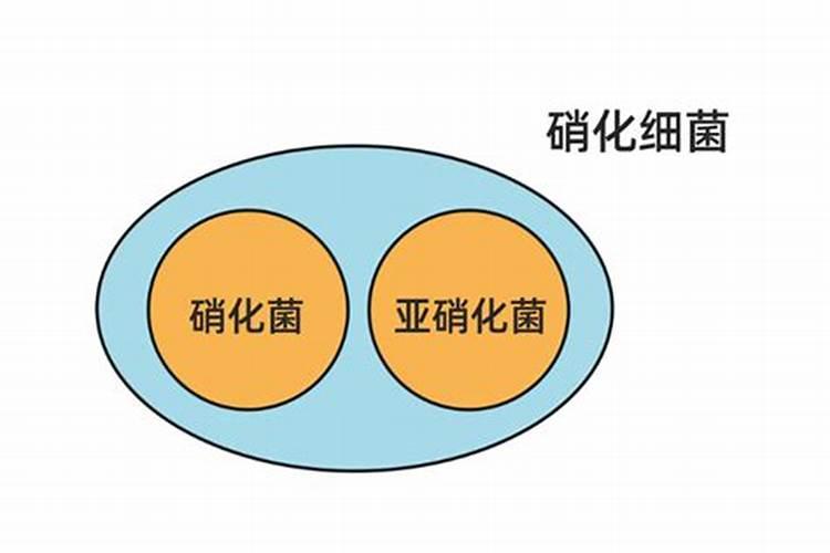 当水田处于淹水期时,不适合施用的氮肥是哪一种