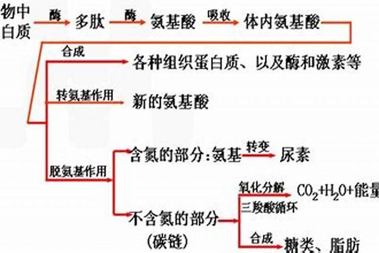 农业所说的氨肥 是哪种肥料 主要成分是什么？ 要施氨肥 买哪种肥料啊...