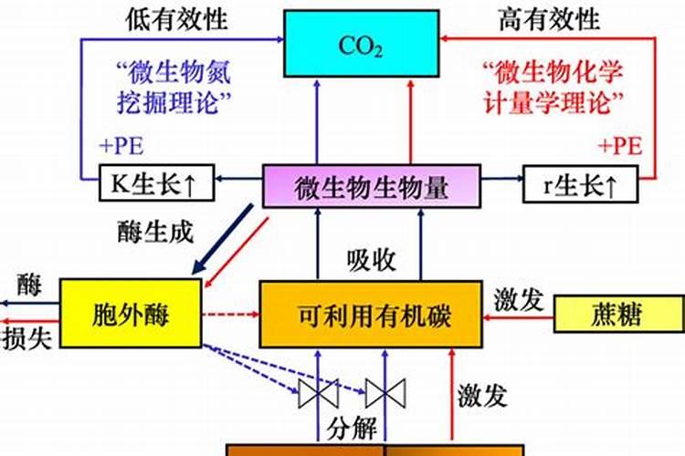 总氮包括哪些形式的氮