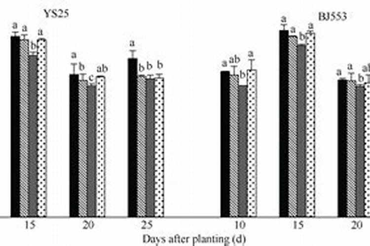 菊花有花蕾时能用磷酸二氢钾喷叶面肥吗